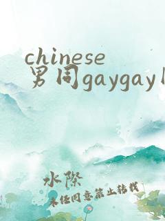 chinese男同gaygay网站