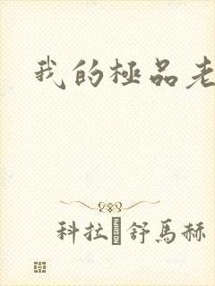 我的极品老婆们