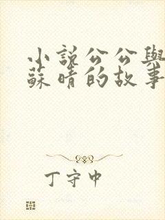 小说公公与儿媳苏晴的故事全文阅读