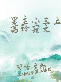 男主小三上位的高干宠文
