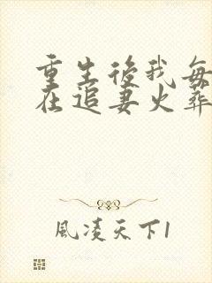 重生后我每天都在追妻火葬场