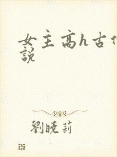 女主高h古代小说