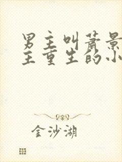 男主叫萧景行女主重生的小说