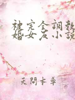 被完全调教的新婚女友小说