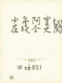 少年阿宾txt在线全文阅读