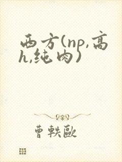 西方(np,高h,纯肉)
