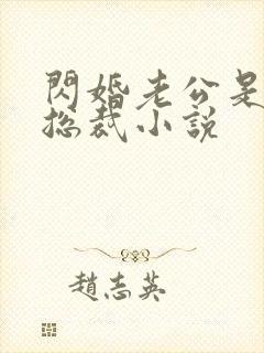 闪婚老公是千亿总裁小说