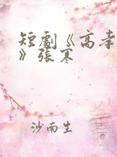 短剧《高孝万岁》张寒