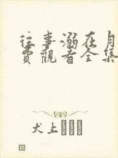 往事溺在月光免费观看全集