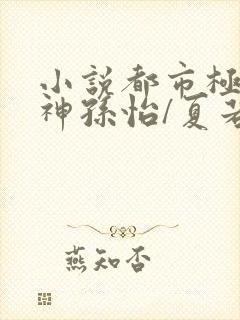 小说都市极品医神孙怡/夏若雪章节目录