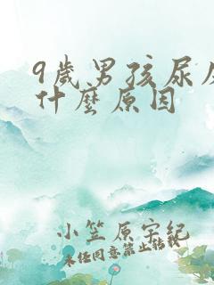 9岁男孩尿床是什么原因