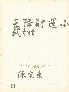 天降财运小说下载txt
