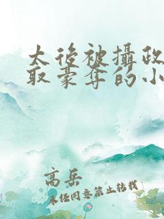 太后被摄政王强取豪夺的小说