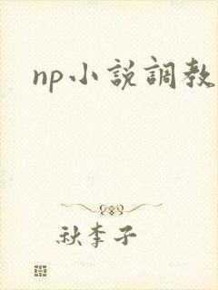 np小说调教