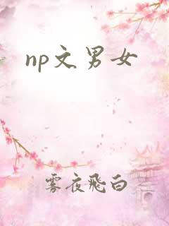 np文男女