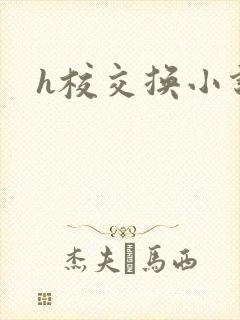 h校交换小说