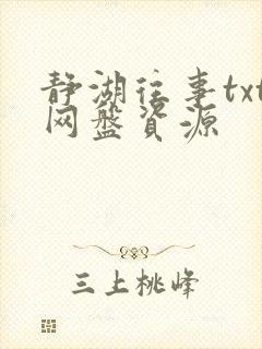 静湖往事txt网盘资源