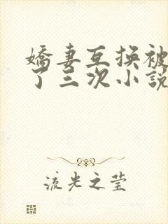 娇妻互换被高潮了三次小说