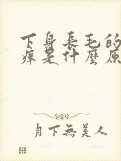 下身长毛的地方痒是什么原因