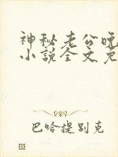 神秘老公晚上见小说全文免费阅读