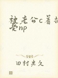 被老公c着插小受np