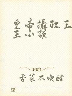 皇帝摄政王双男主小说