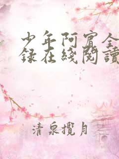 少年阿宾全集目录在线阅读