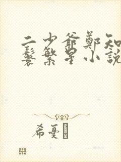 二少爷郑知风丫鬟繁星小说最新章节