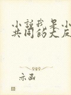 小说我是小说里共同的大反派