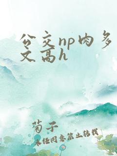 公交np肉多荤文高h