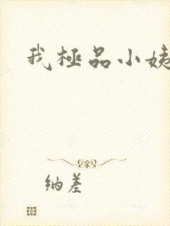 我极品小姨叶凡