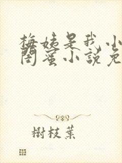 梅姨是我小妈的闺蜜小说免费阅读全文