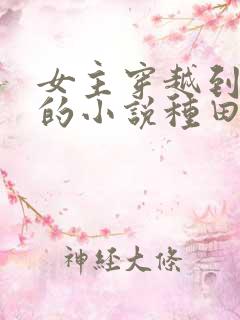 女主穿越到古代的小说种田文