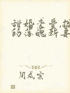 甜婚袭爱,总裁的落魄新妻小说免费阅读