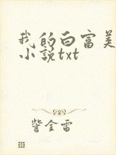 我的白富美老婆小说txt