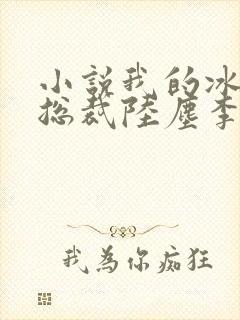 小说我的冰山女总裁陆尘李清瑶