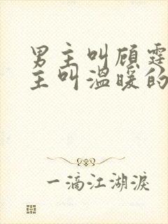 男主叫顾霆琛女主叫温暖的小说