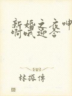 新婚之夜呻吟嗯啊哦迎合