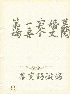 第一宠婚慕少的娇妻全文阅读