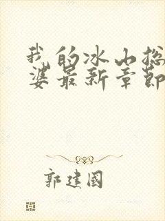 我的冰山总裁老婆最新章节目录