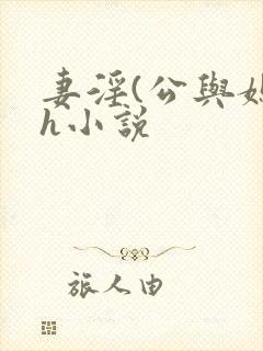 妻淫(公与媳7h小说