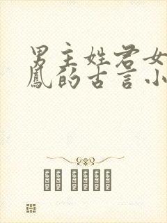 男主姓君女主姓凤的古言小说