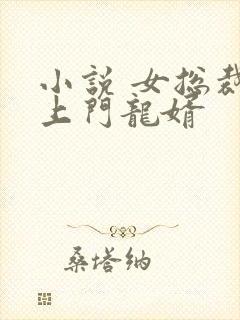 小说 女总裁的上门龙婿