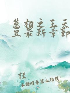 万相之王天蚕土豆最新章节阅读