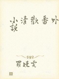 小清欢番外篇小说