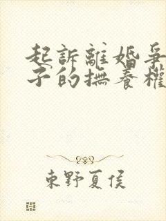 起诉离婚争取孩子的抚养权