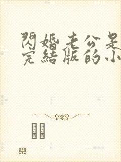 闪婚老公是豪门完结版的小说