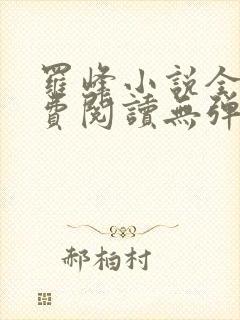 罗峰小说全文免费阅读无弹窗