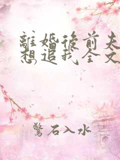 离婚后前夫总是想追我全文免费