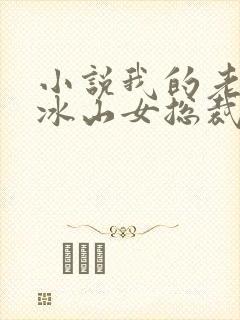 小说我的老婆是冰山女总裁